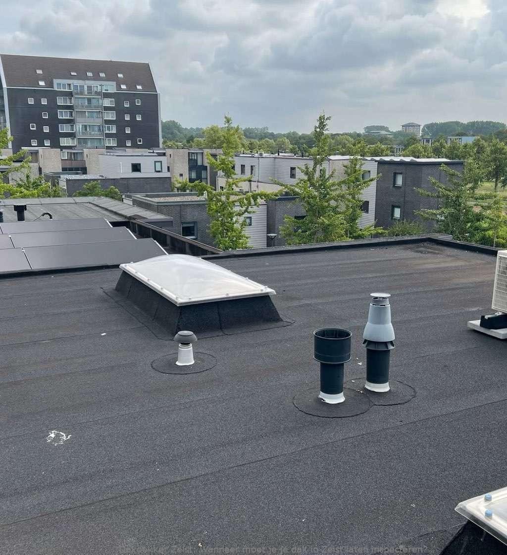 Dak Laten Inspecteren Zeist
