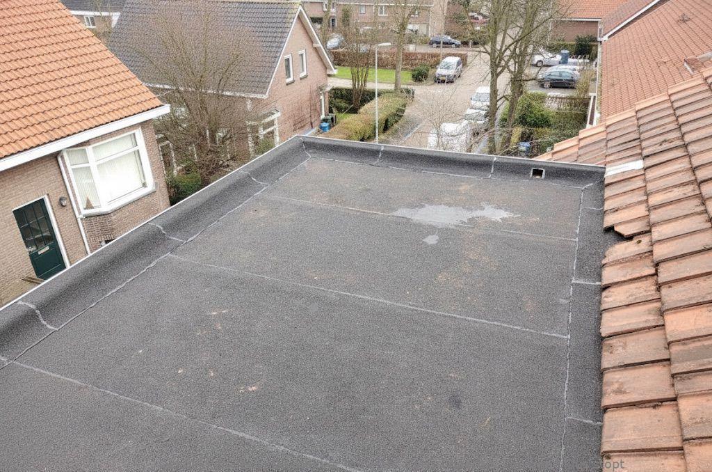 Dakdekker In Najaar Zeist