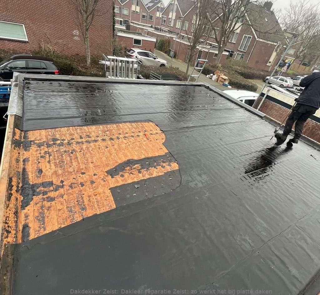 Dakleer Reparatie Zeist