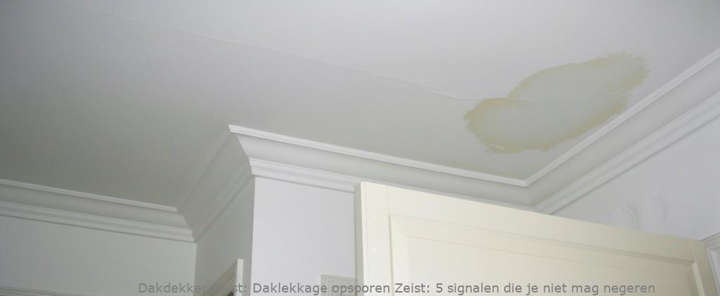 Daklekkage Opsporen Zeist 1