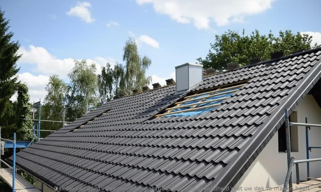 Dakpannen Reparatie Zeist