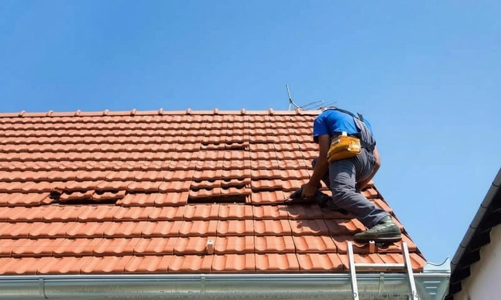 Dakreparatie En Verzekering Zeist