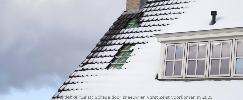 Schade Door Sneeuw En Vorst Zeist