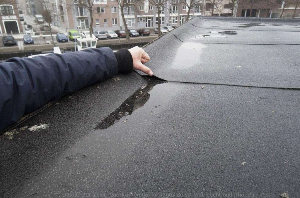 Voorkomen Daklekkages Zeist